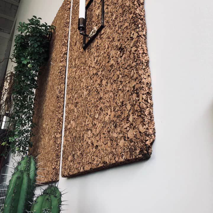 Miniatyrbild 2